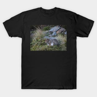 Mountain hare T-Shirt